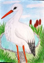 Výbohová Viktória.jpg